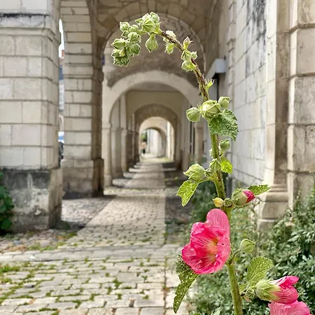 לינה וארוחת בוקר Les Pertuis Rochelais Périgny