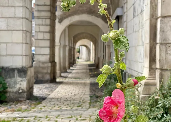 B&B Les Pertuis Rochelais 페리그니